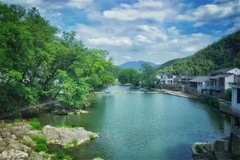 景区
