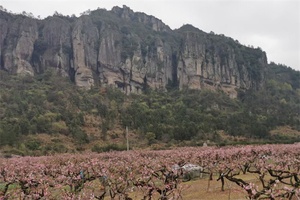 后岸乡居旅游景区