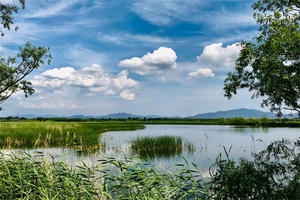 野鸭湖国家湿地公园