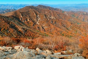 喇叭沟门国家森林公园