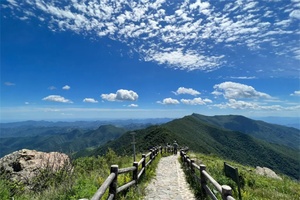 百花山