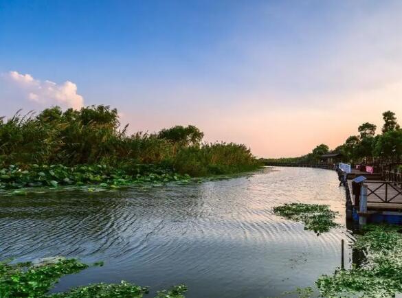 阳澄湖美景