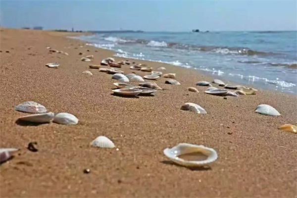 	蟹贝湾