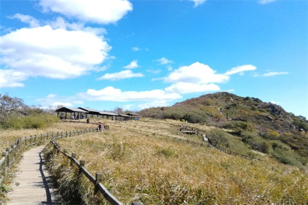 白草畔景区