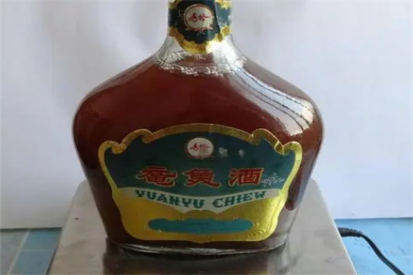 昌黎鼋鱼酒