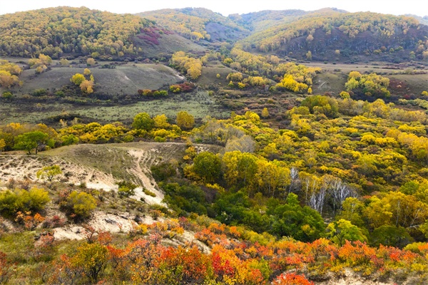 	御道口牧场草原森林风景区