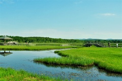 草原湿地