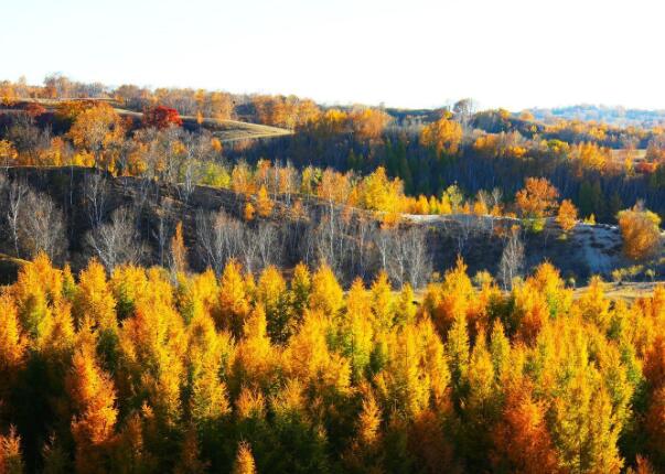 乌兰布统旅游区的秋季