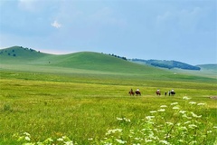 风景