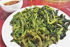刺嫩芽