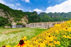风景