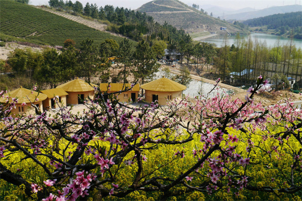 城山沟桃花