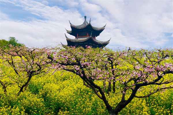 城山沟九龙塔