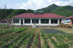 菜园