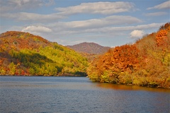 山水