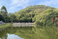 山水
