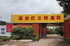 荔枝红佳园客栈