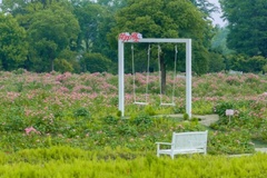 花开生态园