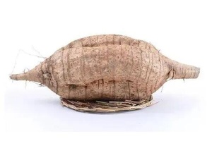 庙南粉葛