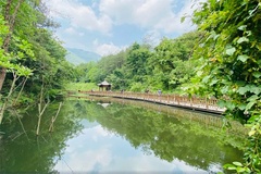 景色