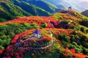 大围山