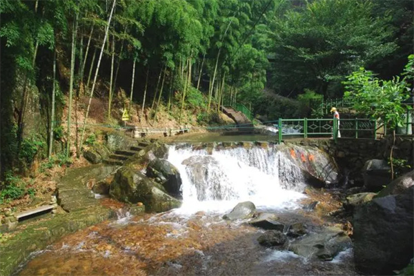 竹林和小溪