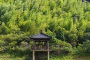 长兴水口乡顾渚村，来一趟青山绿水间的宁静之旅