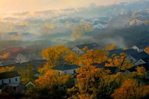 宜兴之秋如画，又是一年重阳节