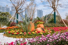 鲜花