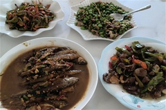 饭菜