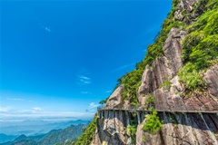风景