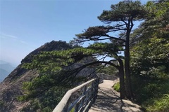 风景