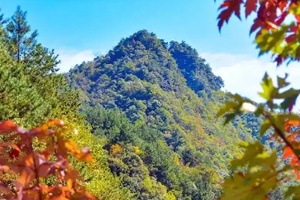 鹞落坪国家级自然保护区