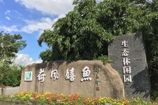 荷风嬉鱼生态度假村