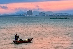 海面
