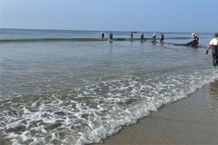 海滩