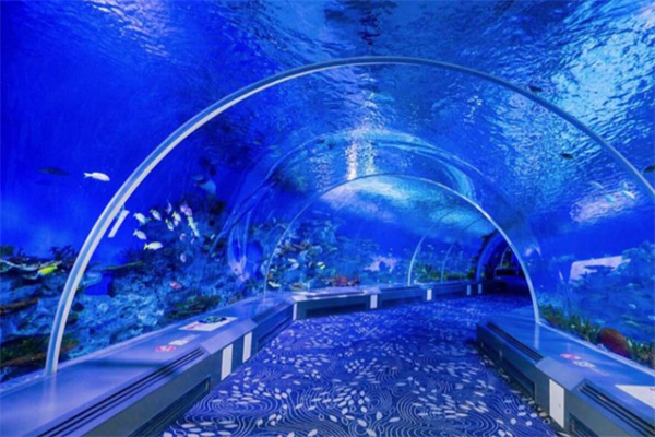 海底世界