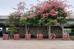 公园
