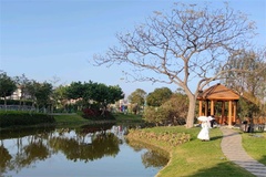 风景