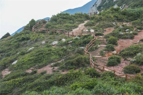 杨梅坑