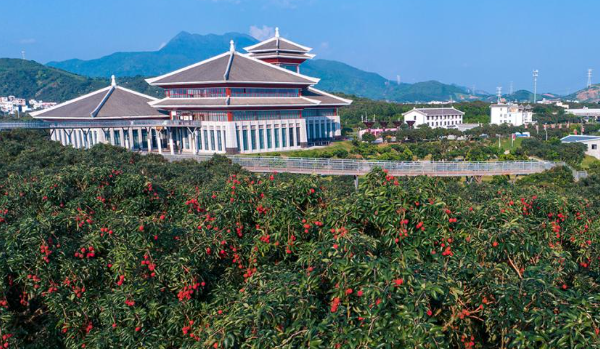 荔枝主题公园