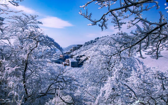 云上草原雪景	