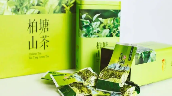 柏塘山茶
