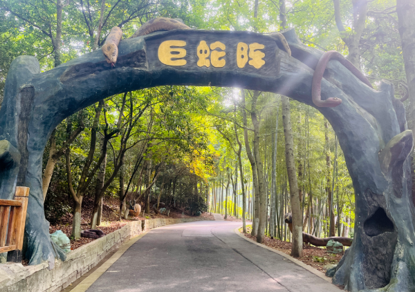 巨蛇阵