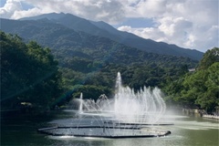 风景