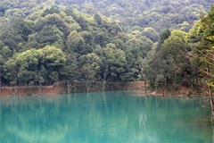 水池