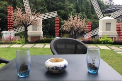 品茶
