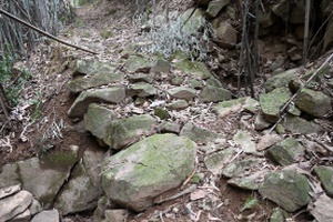 安吉“四普新文物之西山庵遗址