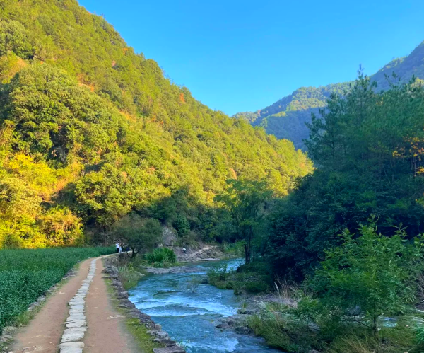 安山古道溪流