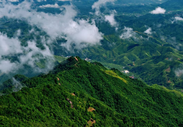 天目山国家森林公园
